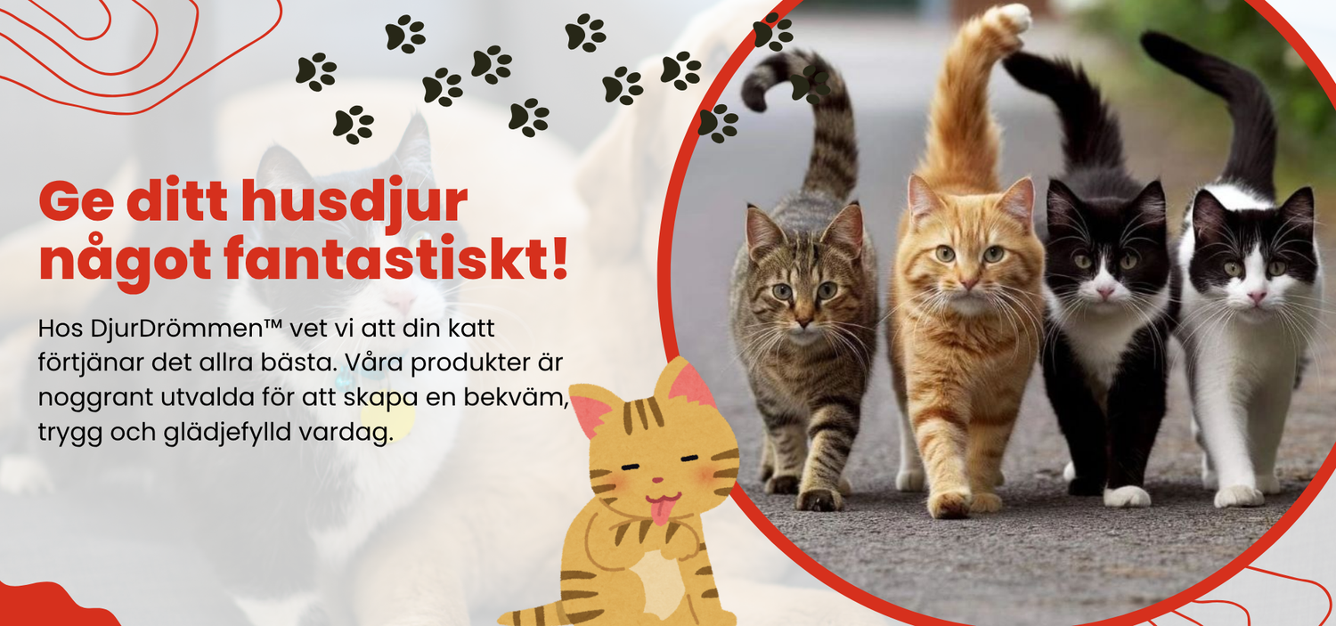Djurdrömmen