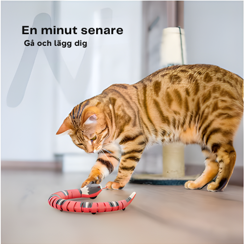 DjurDrömmen™ Interaktiv Kattleksak – Smart Rörlig Orm med Sensorer